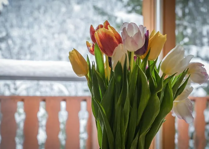 Apartman Heida A 4 By Interhome Ovronnaz