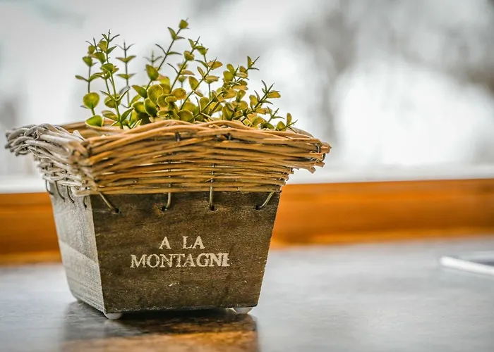 Heida A 4 By Interhome Ovronnaz