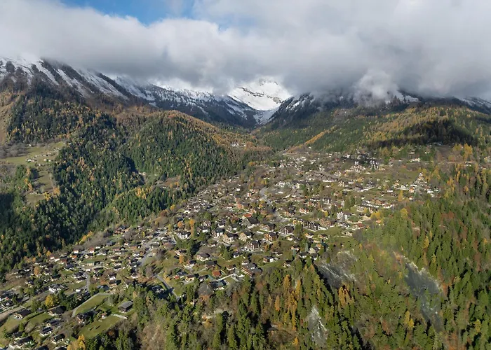 Heida A 4 By Interhome * Ovronnaz