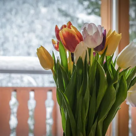 Διαμέρισμα Heida A 4 By Interhome Ovronnaz